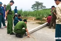 Viettel lên tiếng về vụ điện giật chết 4 người	