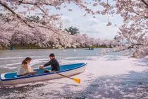 Những lễ hội giúp bạn "kéo dài mùa xuân"