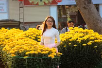 Ngắm thiếu nữ Quy Nhơn mê mẩn đọ sắc cùng hoa xuân