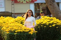 Ngắm thiếu nữ Quy Nhơn mê mẩn đọ sắc cùng hoa xuân