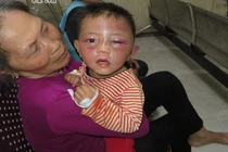 Bắt khẩn cấp gã cha dượng đánh gục con riêng của vợ