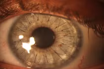 Hình ảnh chỉ cần nhìn một lần là đủ để hoang mang cả đời