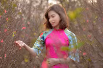 Giới trẻ nô nức chụp ảnh bên hoa đào ngày giáp Tết