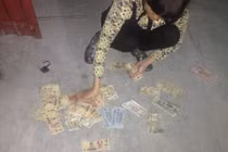 Thanh niên suýt mất Tết vì bị chó cưng cắn nát ví tiền 