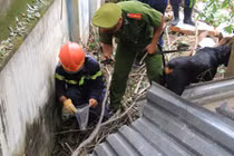 Tìm thấy nhiều mảnh thi thể nghi của các nạn nhân vụ nổ 