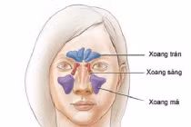 Các loại ung thư đầu cổ thường gặp (1)