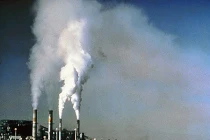 Nguyên nhân chính gây ung thư cổ họng 