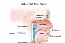 Phát hiện thuốc mới giúp điều trị ung thư đầu và cổ