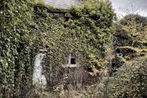 Khung cảnh ngôi nhà bỏ hoang hơn 60 năm ở Anh 