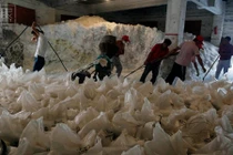 Chùm ảnh công nhân khai thác phèn chua ở Trung Quốc