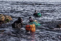 Những “nàng tiên cá” Haenyo cuối cùng ở Hàn Quốc 