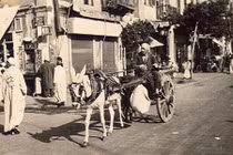 Chùm ảnh cuộc sống ở Ai Cập sau Thế chiến II 