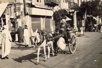 Chùm ảnh cuộc sống ở Ai Cập sau Thế chiến II 