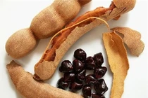 Nhất định phải giữ lại hạt quả này vì công dụng như tiên dược