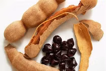 Nhất định phải giữ lại hạt quả này vì công dụng như tiên dược