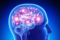 10 điều kỳ diệu xảy ra với cơ thể khi bạn đi bộ mỗi ngày