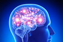 10 điều kỳ diệu xảy ra với cơ thể khi bạn đi bộ mỗi ngày