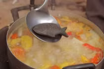 Ít ai ngờ con cá sắt nhỏ bé này đang cứu 2 tỷ người trên thế giới