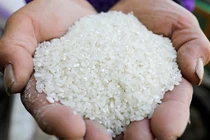 “Hạt ngọc” Việt Nam có giá đắt nhất thế giới