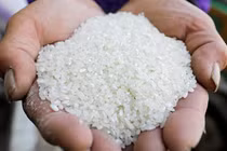 “Hạt ngọc” Việt Nam có giá đắt nhất thế giới