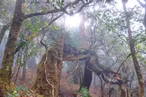 Vườn Quốc gia Vũ Quang – “lá phổi xanh” của Hà Tĩnh