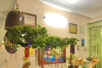 Vườn bonsai ngược phủ xanh căn nhà cựu cán bộ ngân hàng