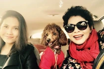 NSND Minh Châu sống cùng thú cưng khi con gái định cư ở Mỹ