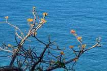 Bình yên Cù Lao Chàm, cảnh đẹp nên thơ