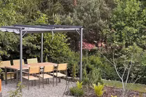 Tái chế gốc cây trong không gian sống