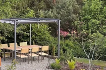 Tái chế gốc cây trong không gian sống