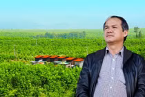 Ba đại gia phố núi lao đao giờ ra sao?