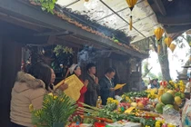 Hàng nghìn du khách đổ về chùa Hương Tích Hà Tĩnh đầu năm