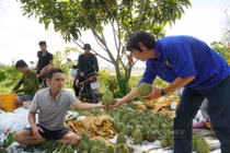 Loài quả “khổng lồ” có giá 90.000 đồng/kg