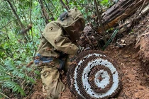 View - Loài ong đỏm dáng nhất thế giới, đẹp gây mê | Báo Tri thức và Cuộc sống - TIN TỨC PHỔ BIẾN KIẾN THỨC 24H