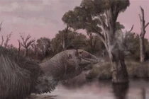 Phát hiện quái điểu “ác quỷ ngày tận thế”, nặng 230 kg ở Úc