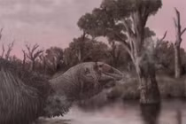 Phát hiện quái điểu “ác quỷ ngày tận thế”, nặng 230 kg ở Úc