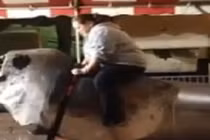 Cười nghiêng ngả với nàng béo quằn quại trên lưng bò máy