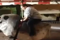 Cười nghiêng ngả với nàng béo quằn quại trên lưng bò máy