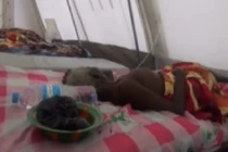 Hơn 3.000 người đã chết vì virus Ebola