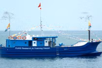 Việt Nam cùng Nhật Bản đóng 180 tàu câu cá ngừ