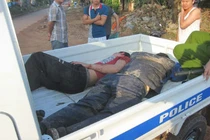 Những vụ trộm chó gây chấn động dư luận