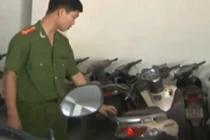 Mang xe gian, giấy tờ giả đi cầm cố