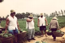 Chộp khoảnh khắc hài hước trong cuộc sống (52)