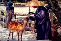 Phút yêu thương “lấy nước mắt” cư dân mạng (P11)