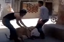 Nam thanh niên bị chó lột quần 