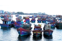 113 Online 15/5: Động viên ngư dân tiếp tục ra khơi bám biển