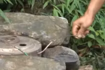 Mối họa từ thủy điện tự chế ở miền núi