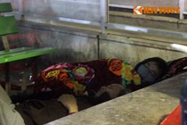 Thảm cảnh ngủ co ro ở hành lang bệnh viện trong giá rét