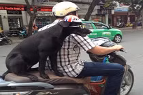 Ảnh độc chỉ có ở Việt Nam (P15)