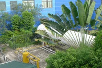 Người dân Hà Nội vẫn sống trong sợ hãi gần “bom gas“